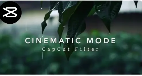 CAPCUT FILTER IOS